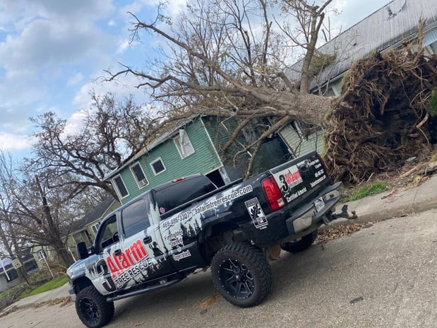 Images 3 Alarm Tree Rescue