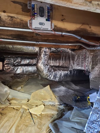 Images All American Washpro