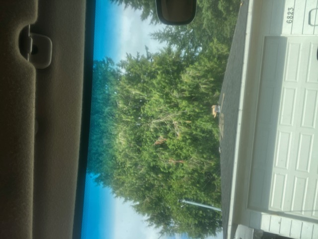 Haupt To It Gutters and Roofs Image