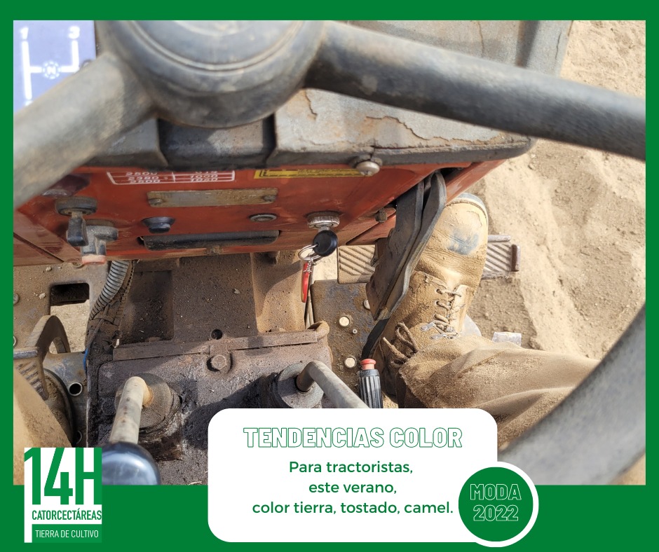 Images Catorcectáreas