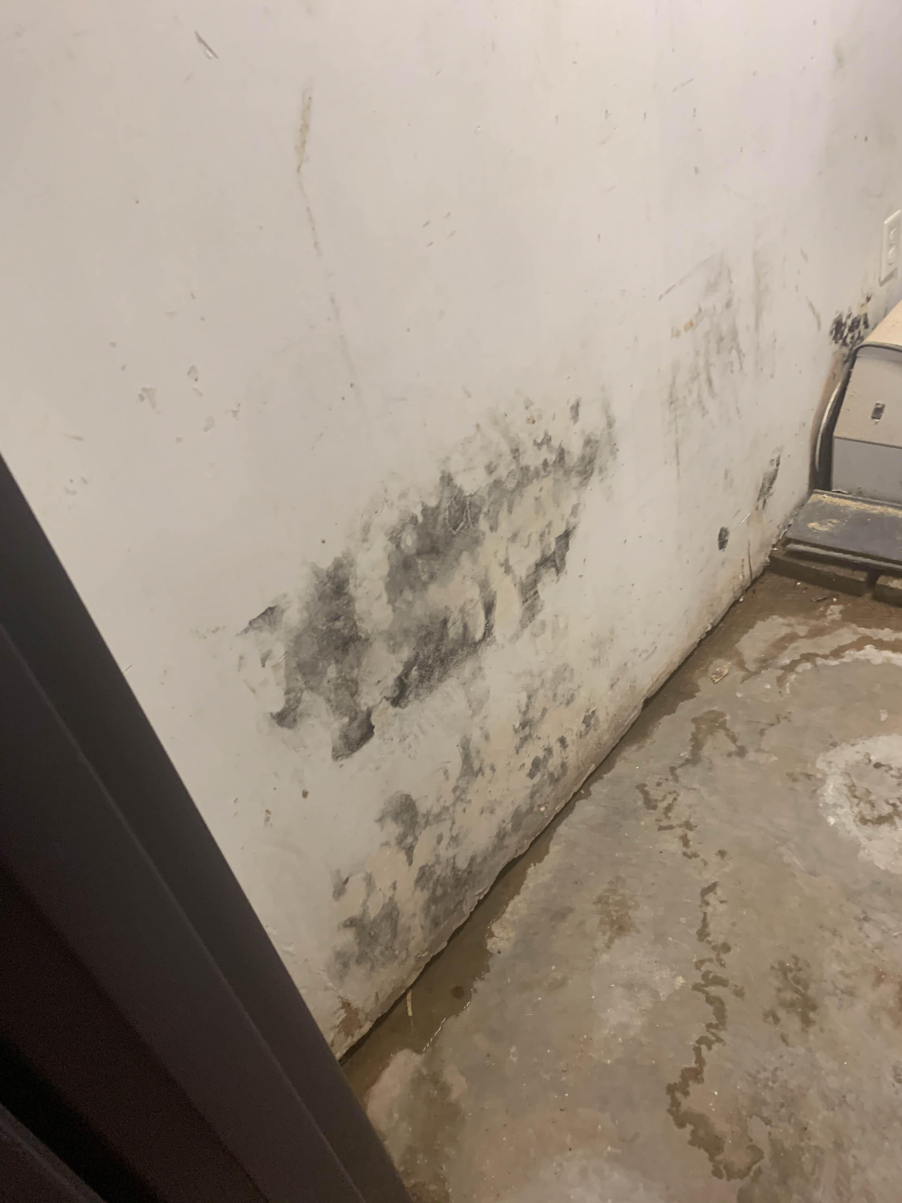 If you suspect or have discovered a potential mold infestation, please give our SERVPRO of South Garland crew a call today!