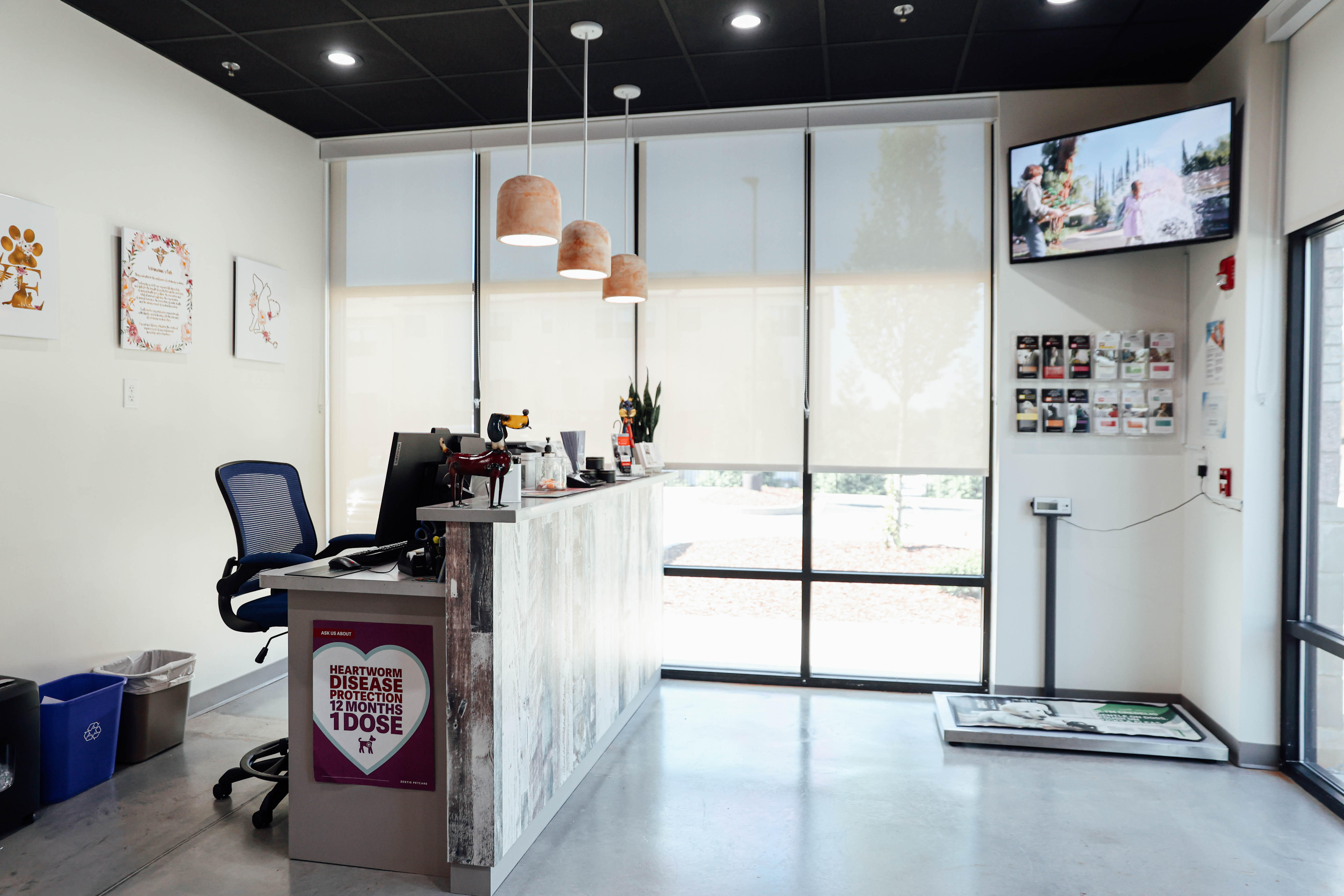 PeachVet Pet Wellness: surgery.dentistry.medicine