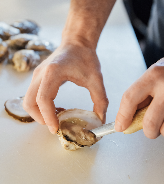 Shucking oysters