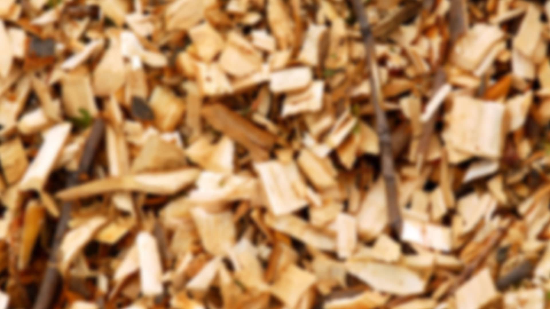 Bild 3 Baumpflege Eifler in Mülheim-Kärlich