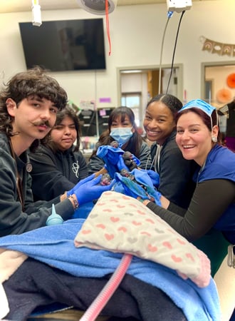 Images VCA San Martin Animal Hospital