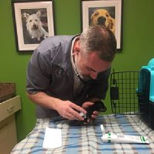 Images North Main Animal Hospital