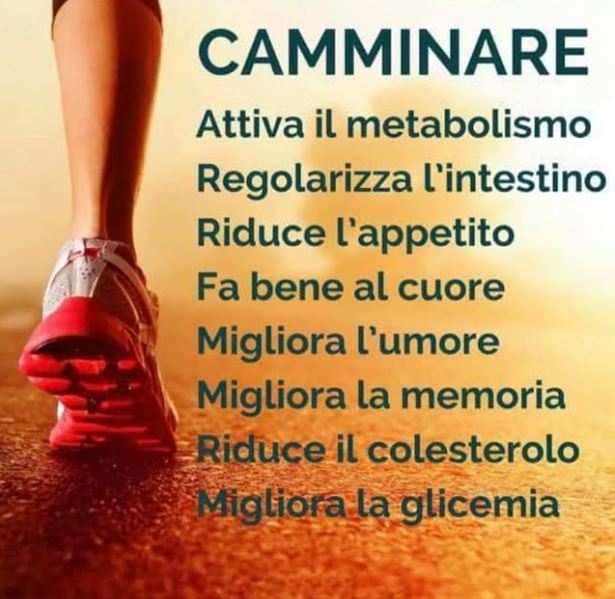 Images Osteopata San Giovanni Lupatoto - Cura del Corpo - Fisioterapista