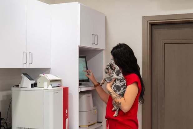 Images Furgent Care Vet