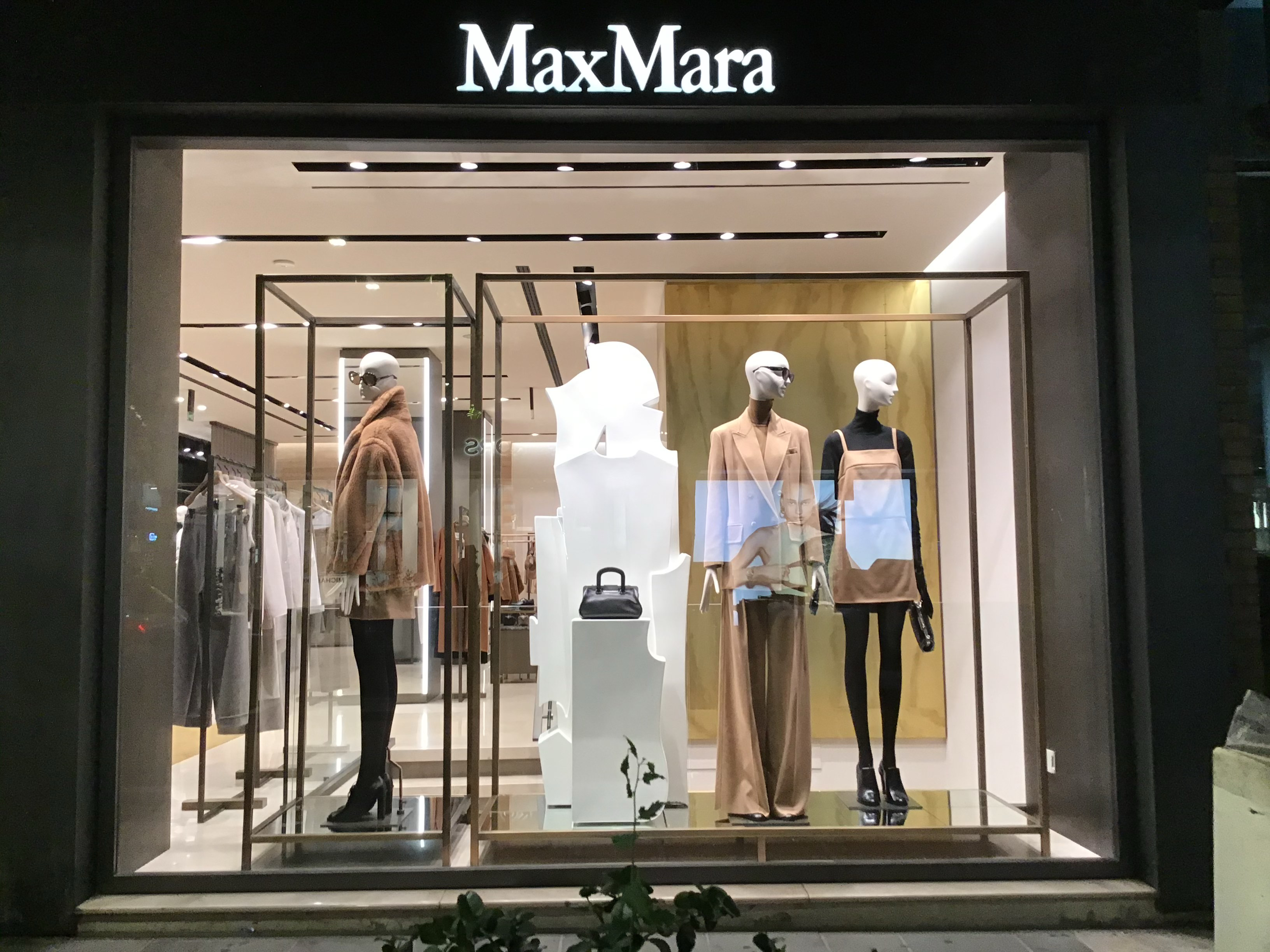 Images Max Mara