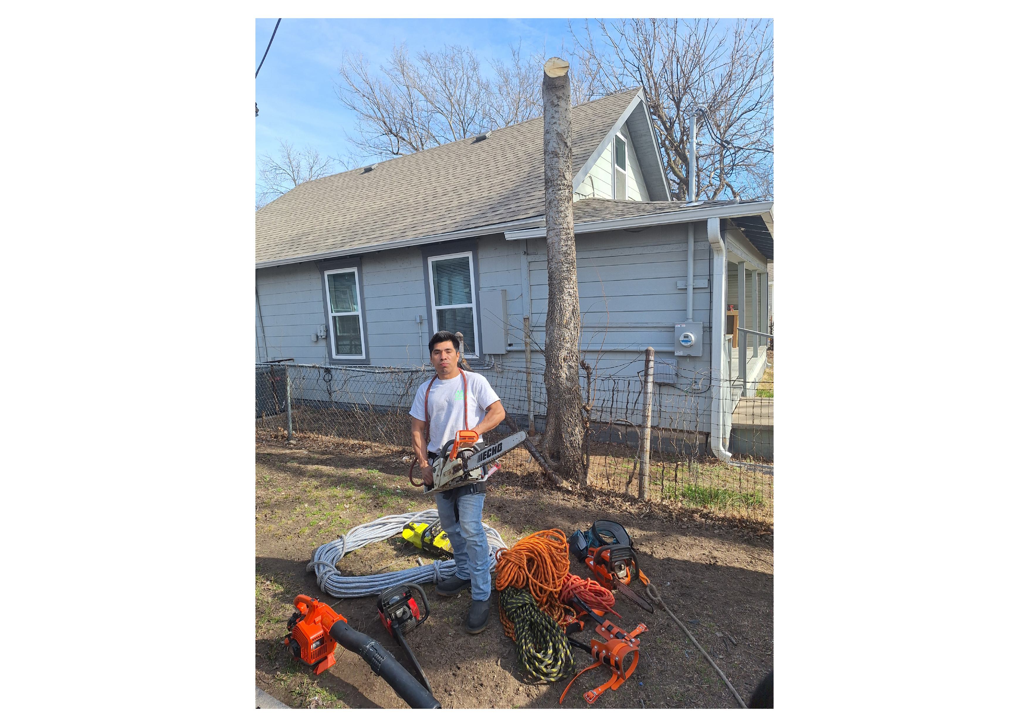 AR Lawn Care and Tree Service Image