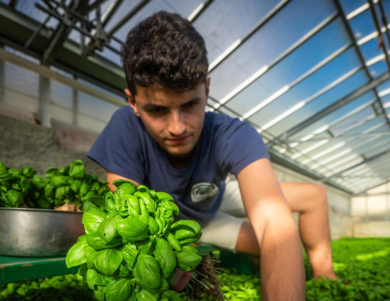 Images Fratelli Sacco