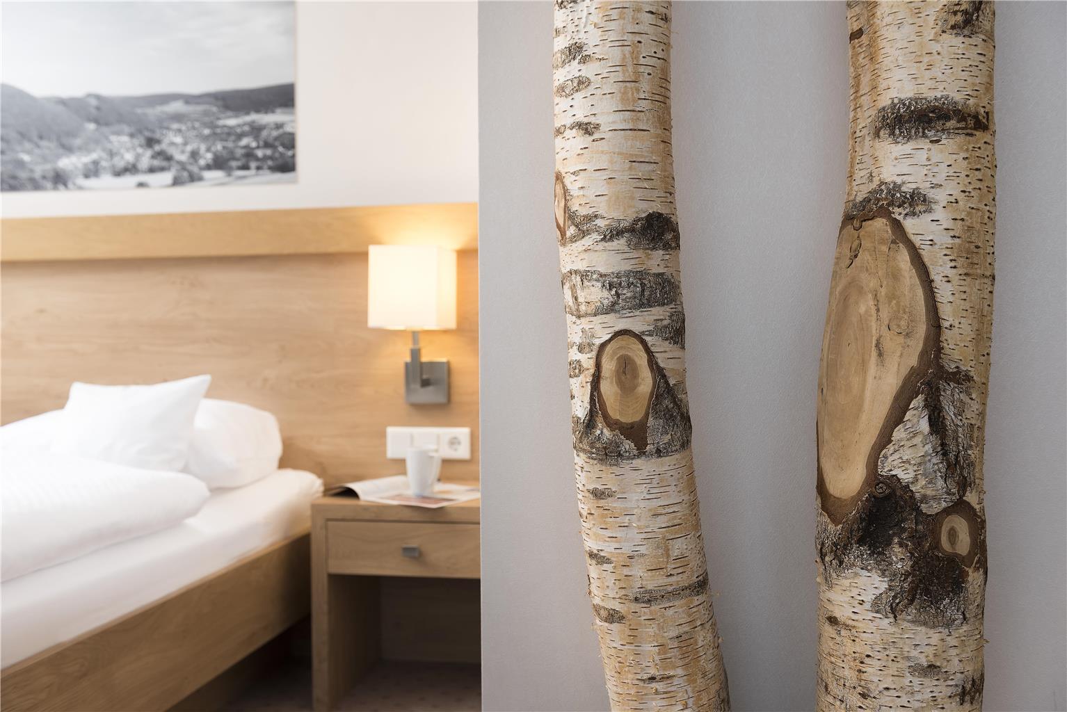 Best Western Plus Hotel Willingen, Briloner Strasse 56 in Willingen