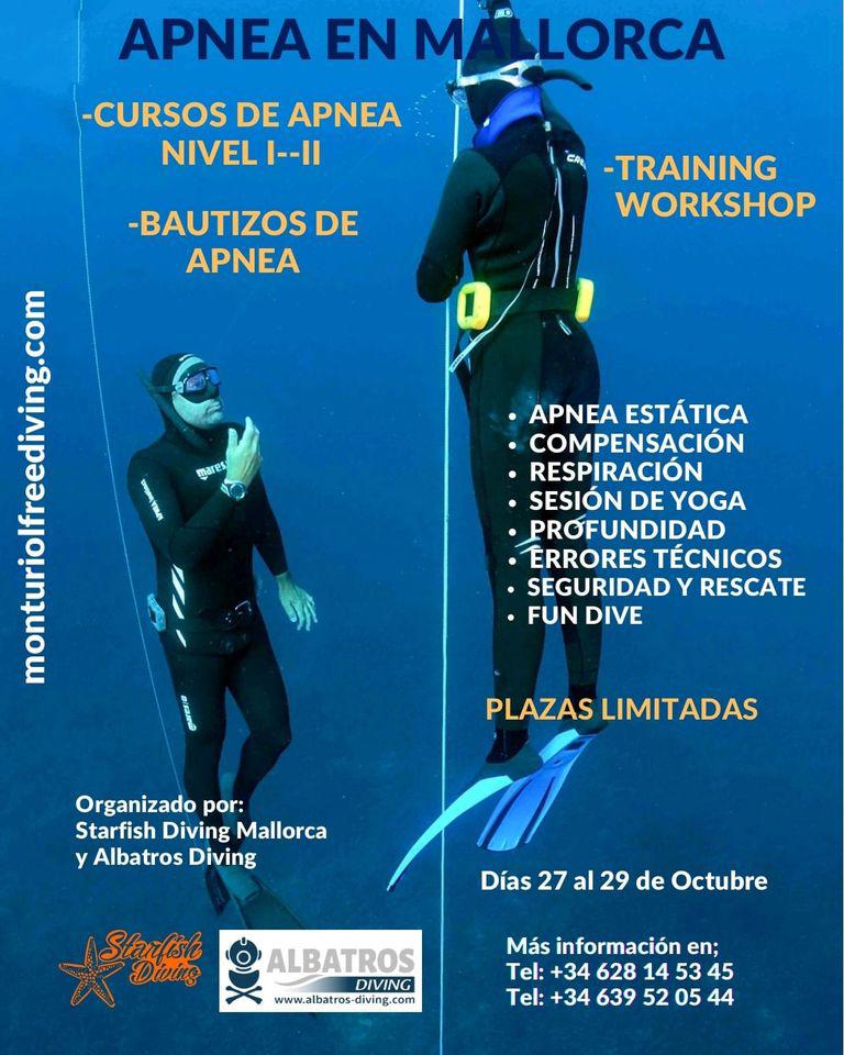 Images Starfish Diving Mallorca
