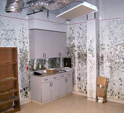 AfterMath Restoration Inc