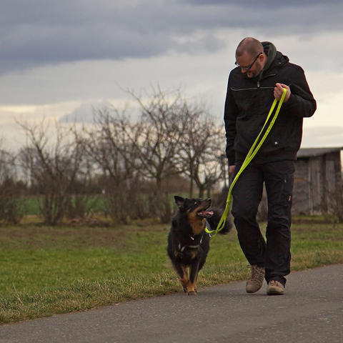Bilder Der Hunde Coach Lothar Schneider