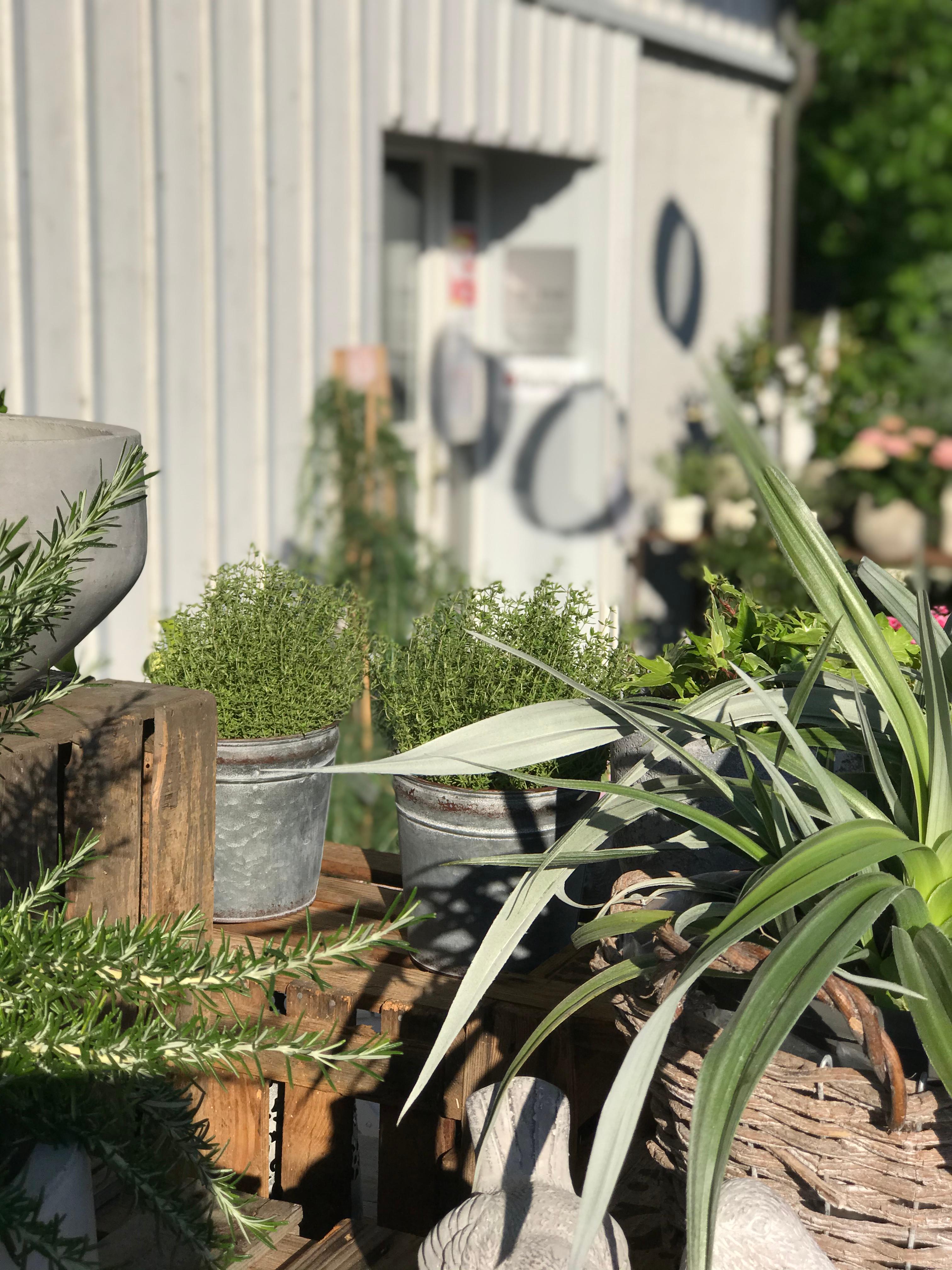 Blueme Werkstatt R. Fässler, Wiler Strasse 28 in Schwarzenbach SG