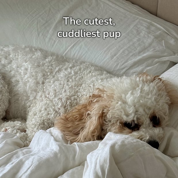 Images Beautyrest Sleep Gallery