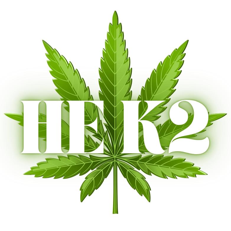 Herbal Biz Logo
