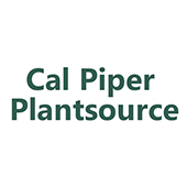 Cal Piper Plantsource