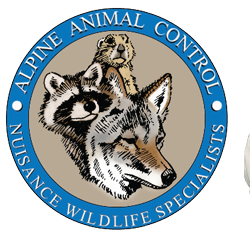 Alpine Animal Control