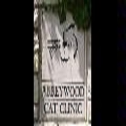 Abbeywood Cat Hospital Logo