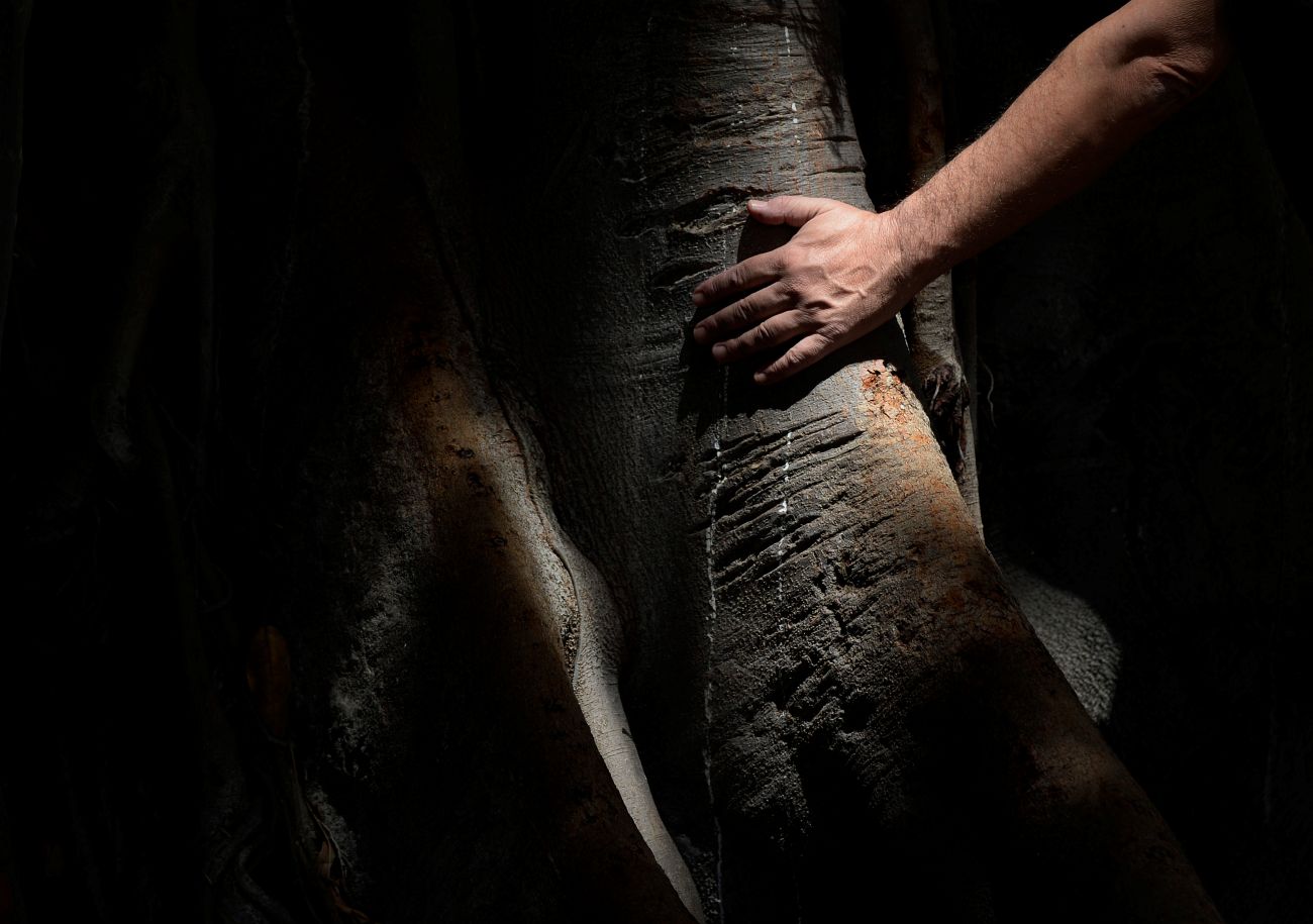 Images Luis Juárez Castillo - Psicólogo Sevilla