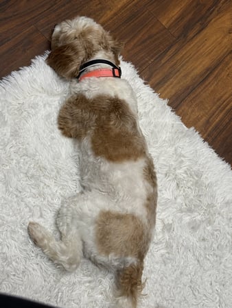 Images Kathy Nash - State Farm Insurance Agent