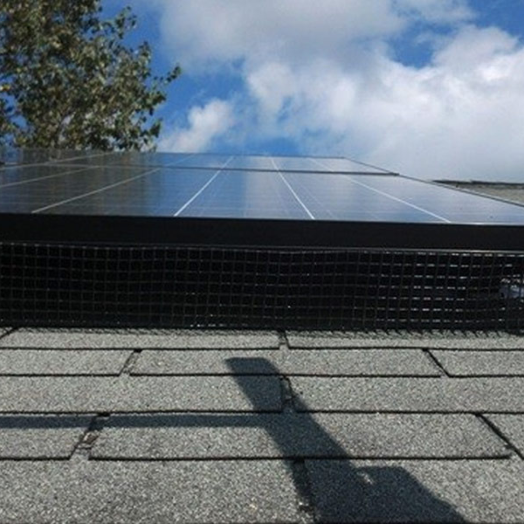 Learn more about our solar panel options!