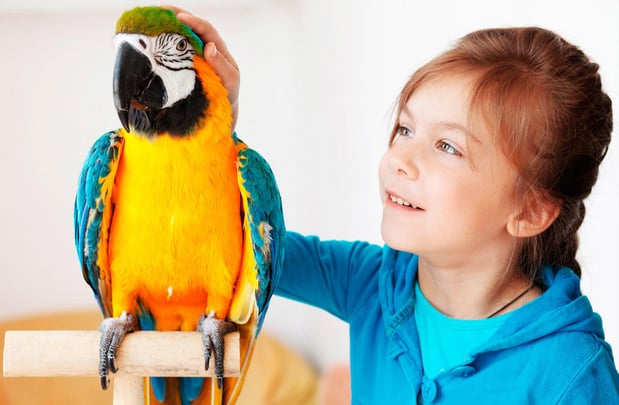 Images RLM Veterinary Services P.C.