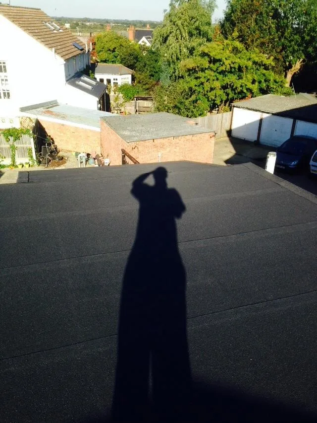 Images Moss Roofing