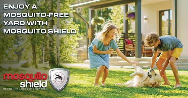 Images Mosquito Shield