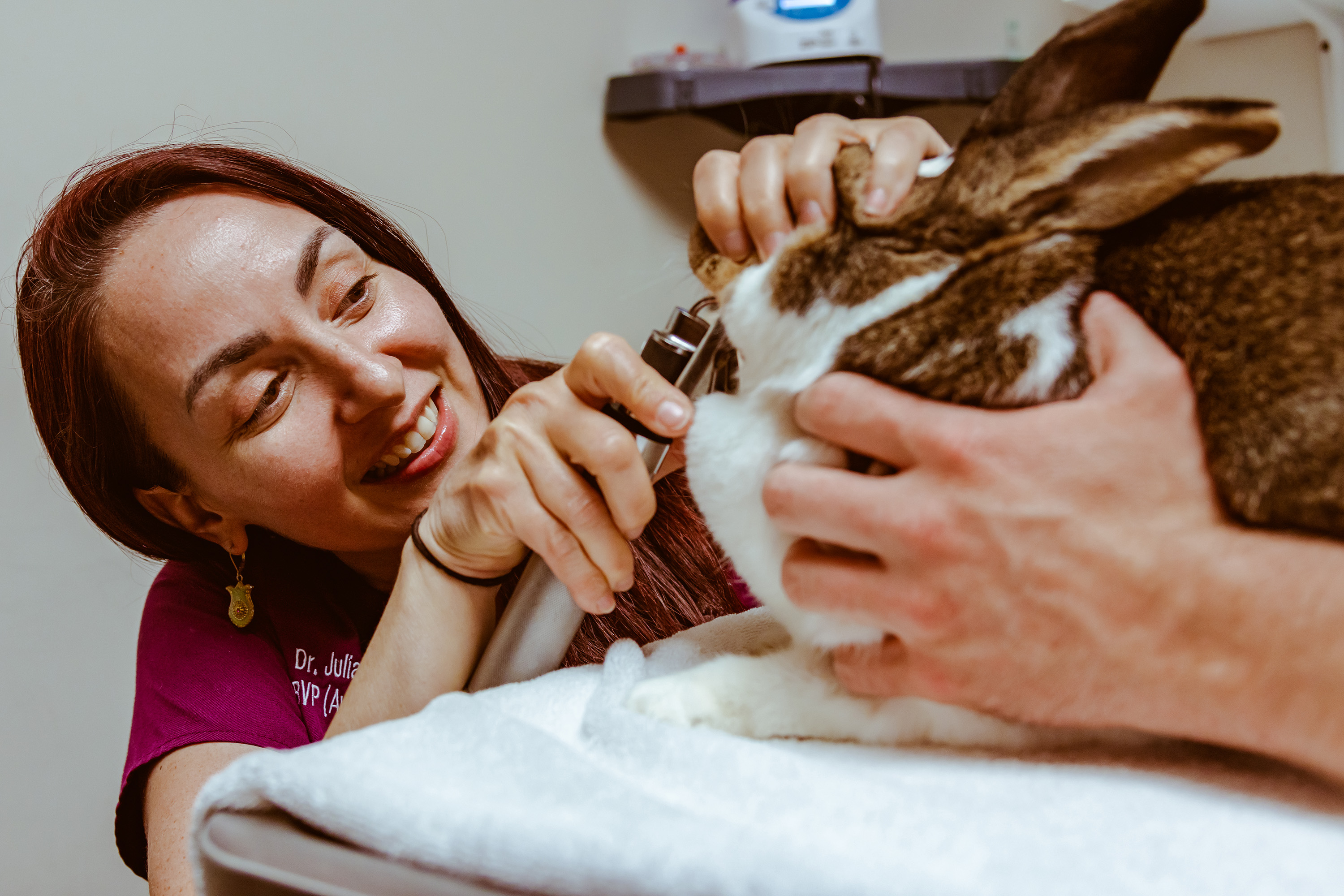 The Exotic Animal Department at Central Hospital for Veterinary Medicine sees avian, small companion exotic mammals, and reptile/amphibian species by appointment.