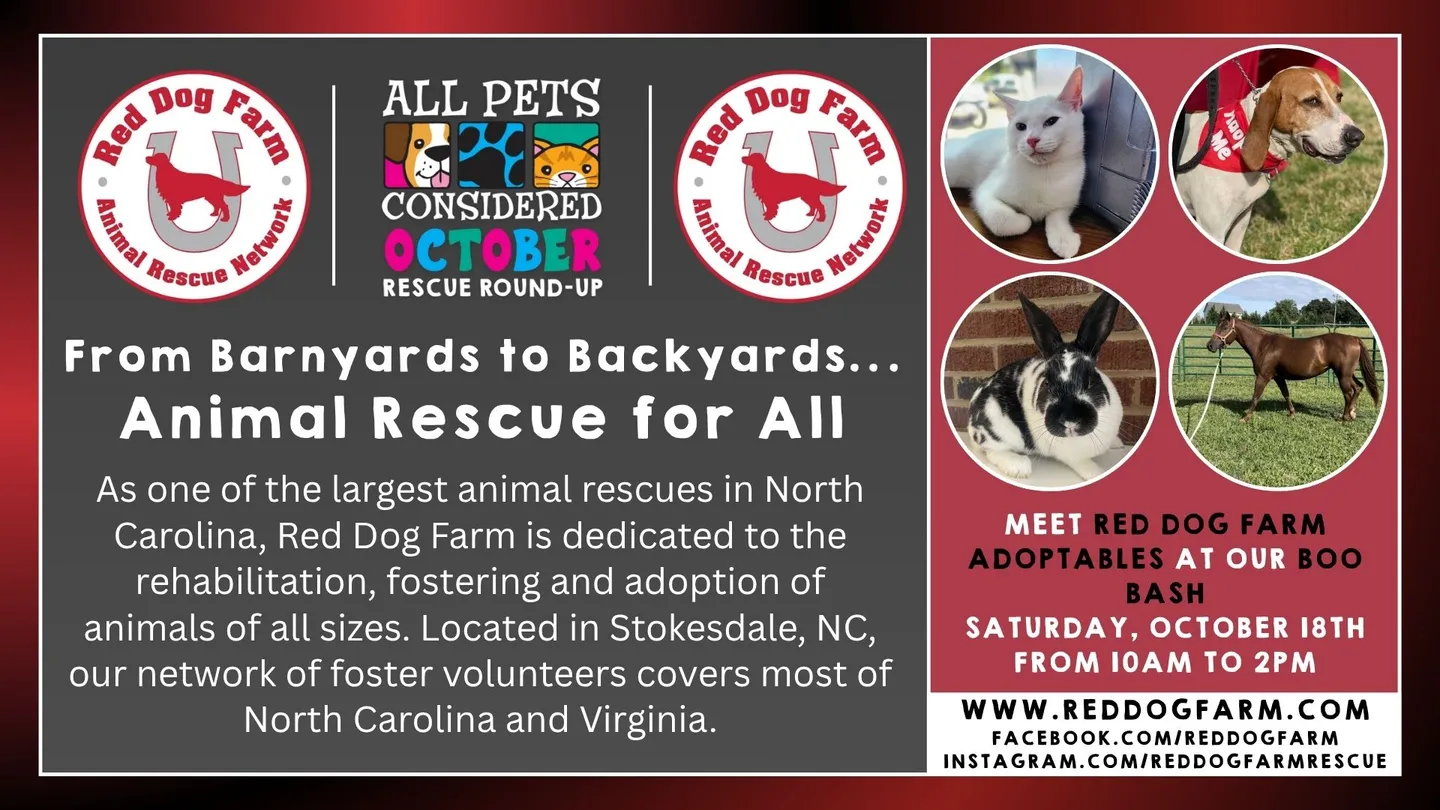 Image of Local Pet Event APC October Rescue Round-Up of the Month Nearby