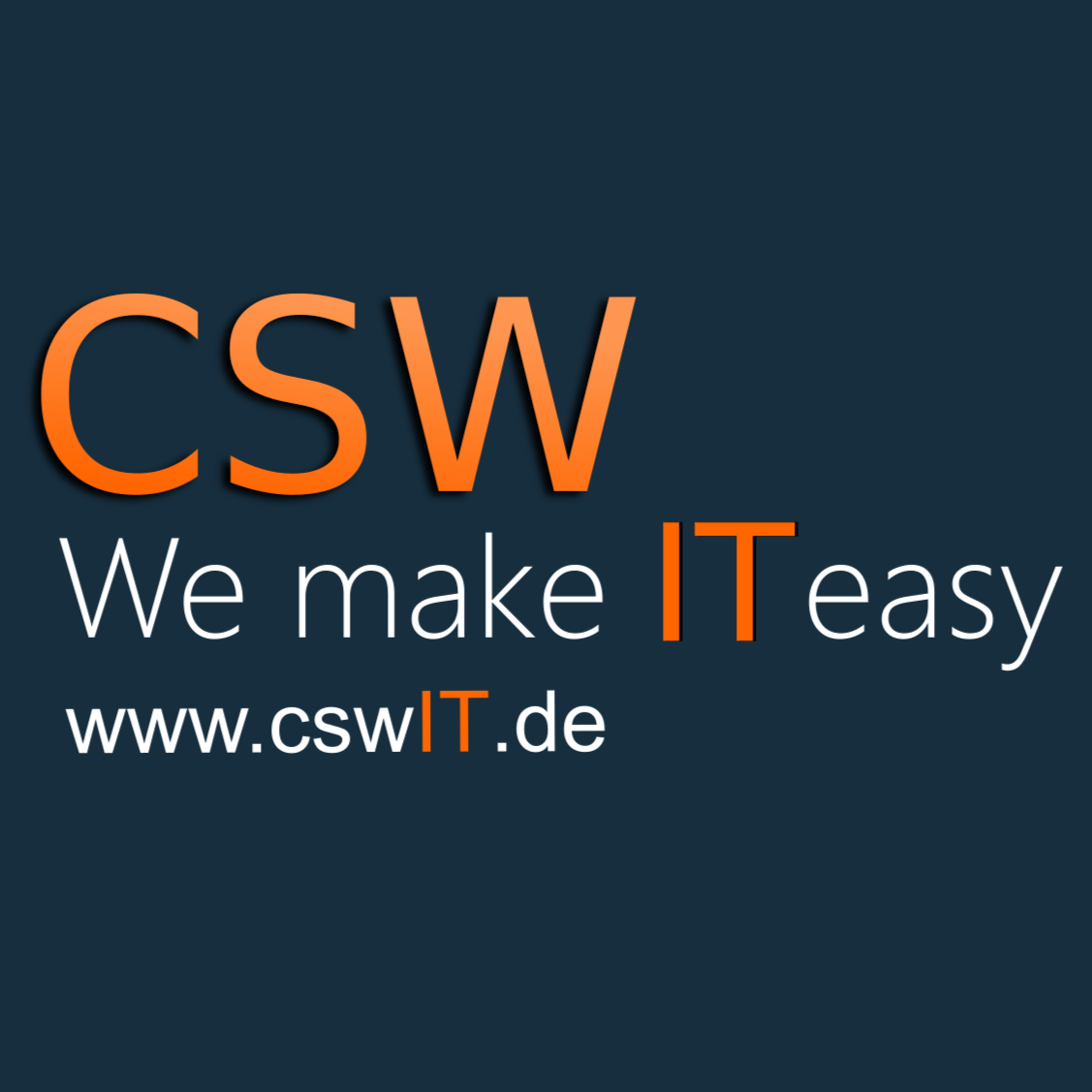 CSW IT Dienstleistungen