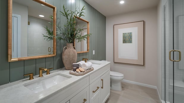 Images The Towns at Plymouth Walk