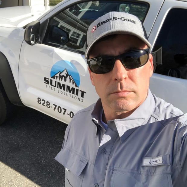 Images Summit Pest Solutions