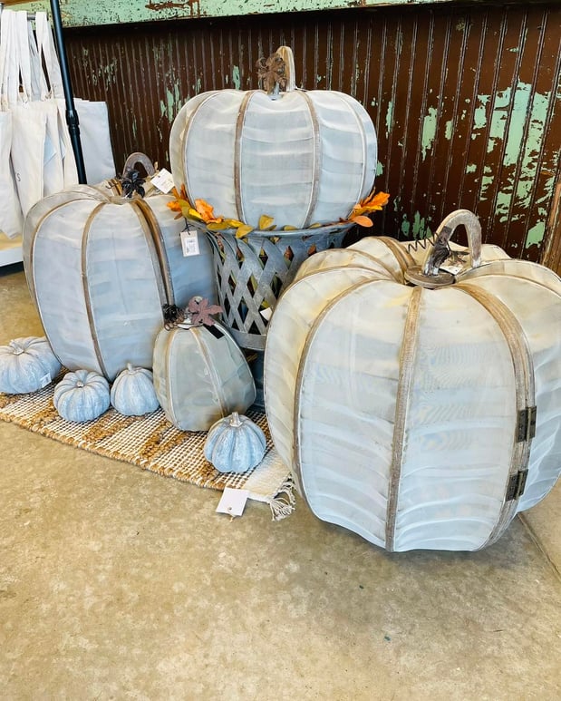 Images Miss Daisy's Home & Decor Co.