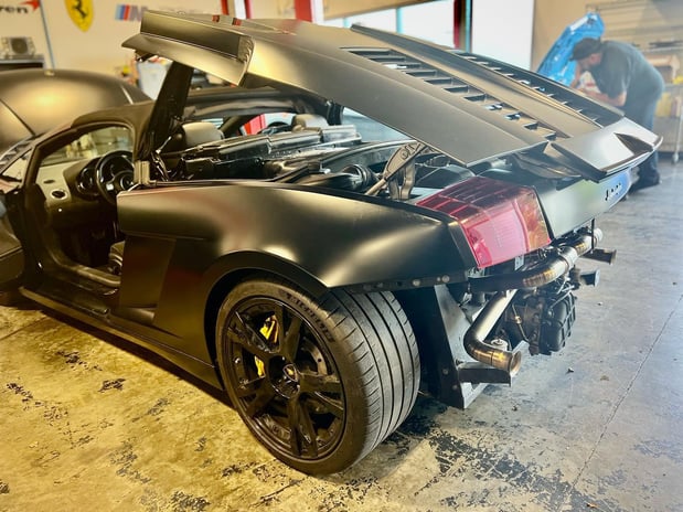 Images Loudoun County Exotics