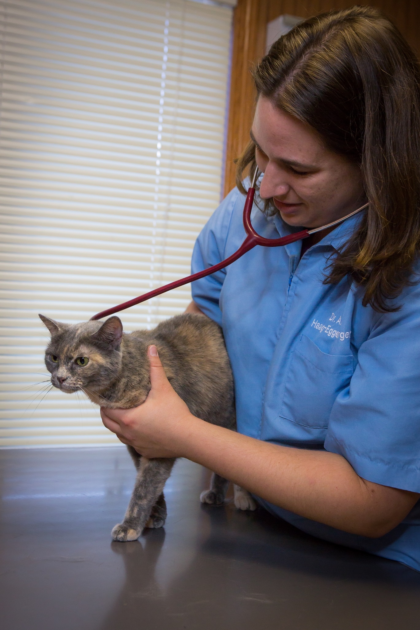 Dr. Haag-Eggenberger is passionate about high-quality pet care. Here, she uses a stethoscope to check this patient's pulmonary health.