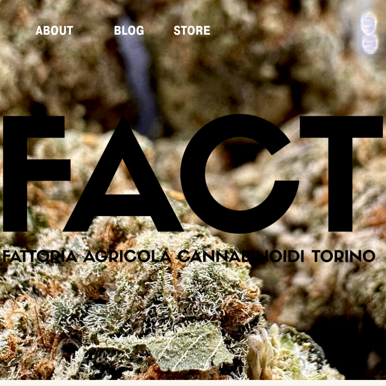 Images FACT FARM - Fattoria Agricola Cannabinoidi Torino