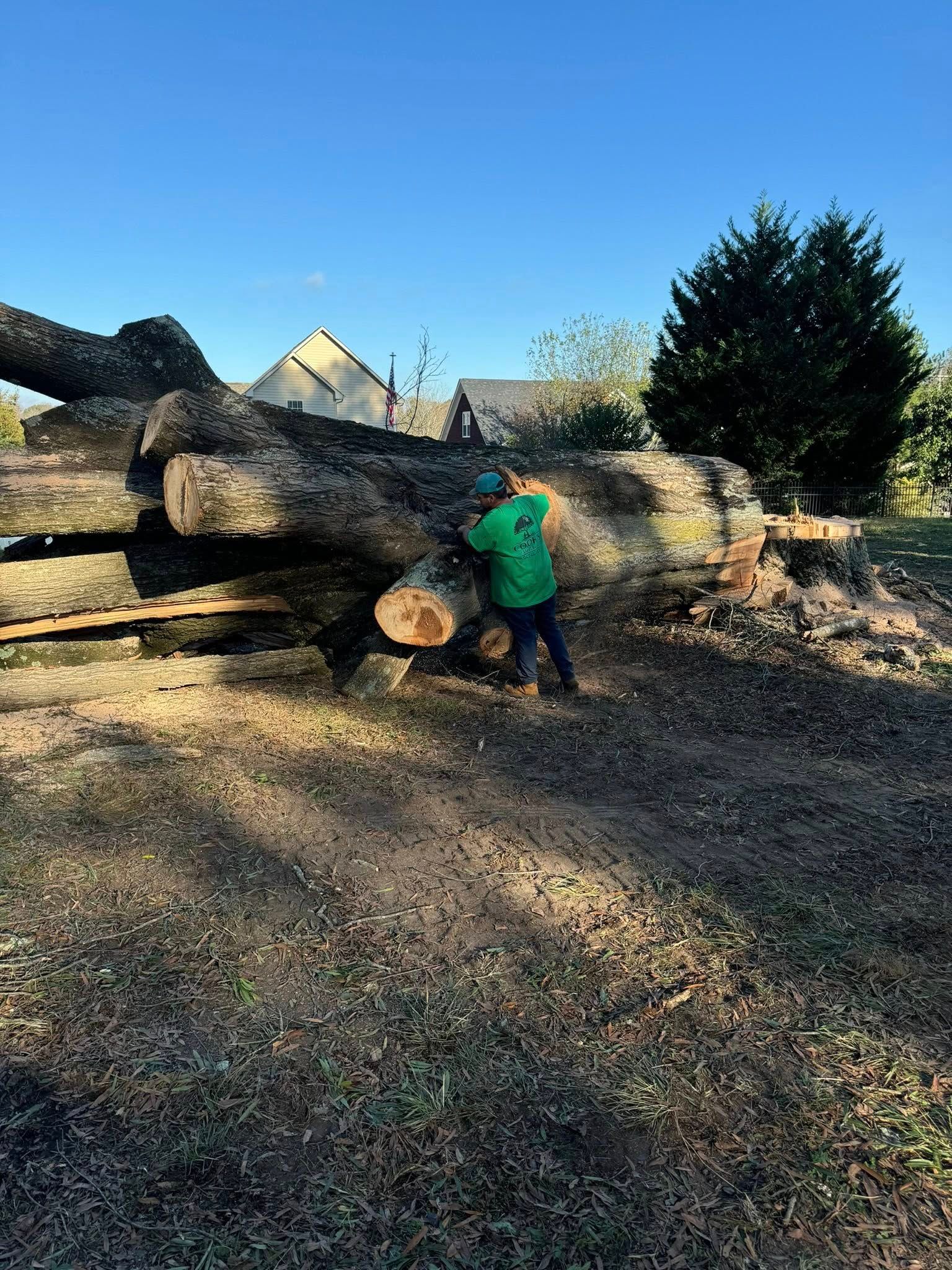 Cook's Tree Service Image