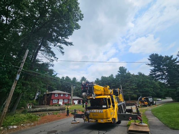 Images Martel Crane Service & Tree Removal