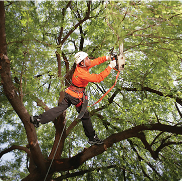hunlock creek dating site Find local hunlock creek pa aarp programs and information get to know the real possibility of aarp in hunlock. hunlock creek dating site Find local hunlock creek pa aarp programs and information get to know the real possibility of aarp in hunlock.