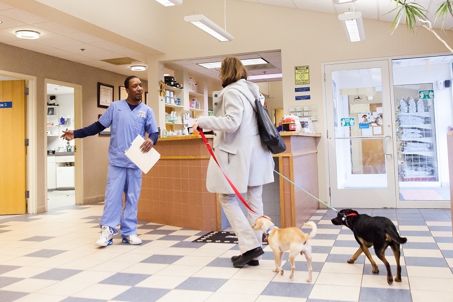You can rely on the team at Highland Animal Hospital to provide a great client experience during every visit.