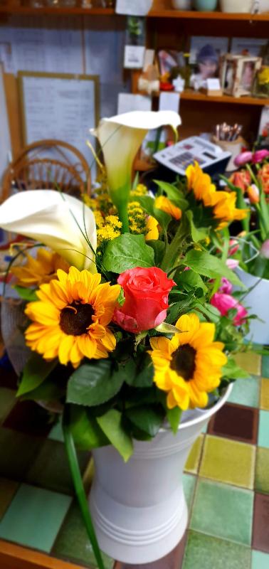 Images Fioreria Angolo Verde Zoldo