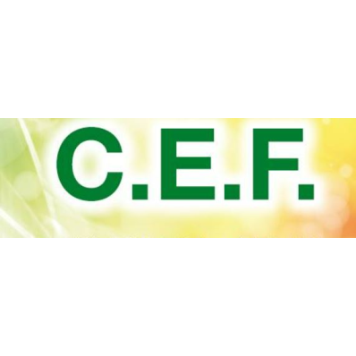 C.E.F. srl Logo