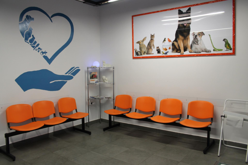 Images Ambulatorio Veterinario Associato Dott.ssa De Francesco e Dott. Gentile