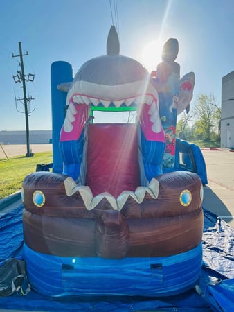 Images Imagination Jump and Party Rentals