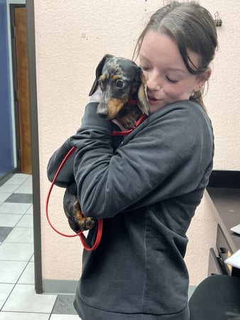 Images VCA Preston Park Animal Hospital