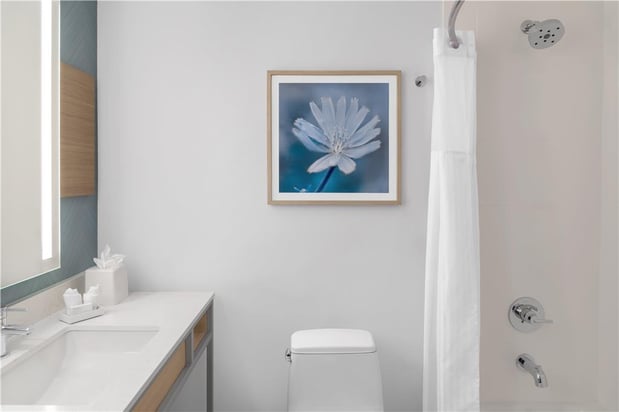 Images Hilton Garden Inn Queens/JFK Airport
